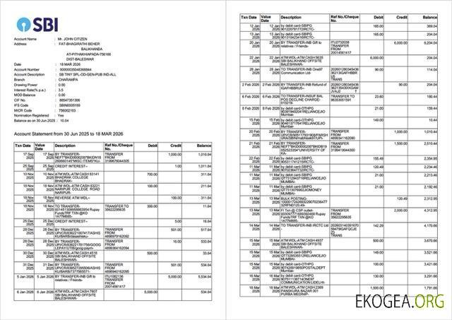 Relevé de compte de la India State Bank of India Modèle Word et PDF, 2 pages template
